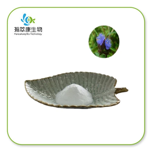 Cyanotis Arachnoidea Extract